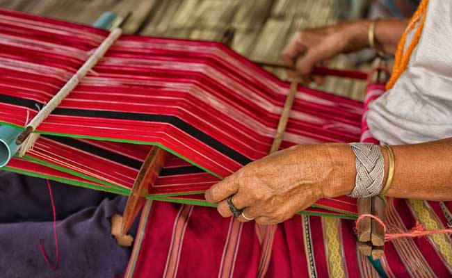 handloom sari