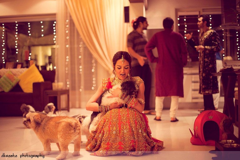 pets at weddings Indian