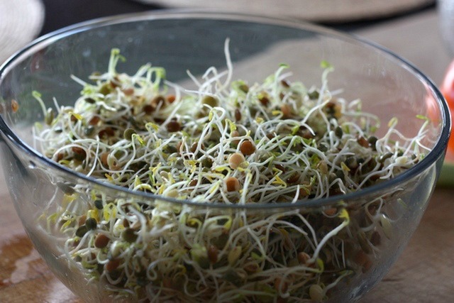 sprout salad